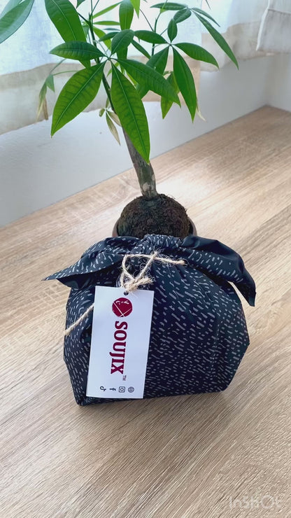 Whitening, Brightening and Revitalizing