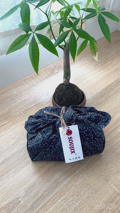 Clean, Smooth and Groomed